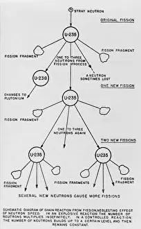 Atomic Prints: Schematic diagram of chain reaction from fission of uranium 235
