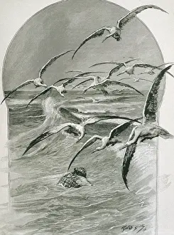 Seaside Prints: SCOTT, Georges Bertin, called 'Scott de Pagnolles' (1873-1943)