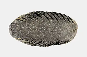 Prehistory Prints: Scraper. Neolithic art. Decorative Arts