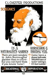 Burroughs Prints: Screenics, 1910s short featuring naturalist John Burroughs, waterfalls