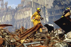 9 11 Prints: Search and rescue teams search for survivors amongst the wreckage of the World Trade Center
