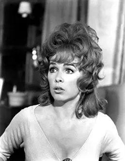Jsx 64 Prints: THE SECRET OF MY SUCCESS, Stella Stevens, 1965