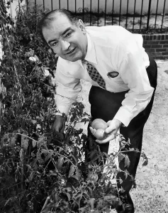 Garden Prints: Senator Joseph McCarthy picks tomatoes from the garden at his home in Washington