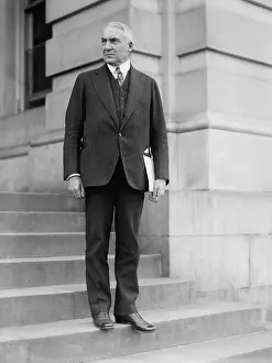 Lcgr15112 Prints: Senator Warren Harding on the steps of the U.S. Capitol, ca. 1918-1920. (BSLOC_2015_15_10)