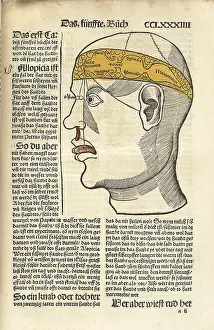 Human Prints: Senses and their corresponding parts of the brain
