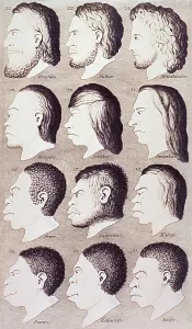 Primates Prints: A series of human heads from difference races