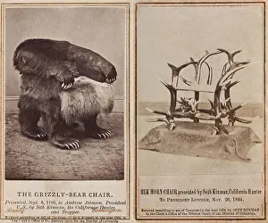 Hunters Prints: Seth Kinman sits in the Grizzly Bear chair he presented to President Andrew Johnson in 1865