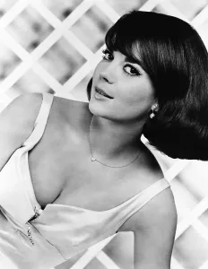 Images Dated 7th October 2013: SEX AND THE SINGLE GIRL, Natalie Wood, 1964