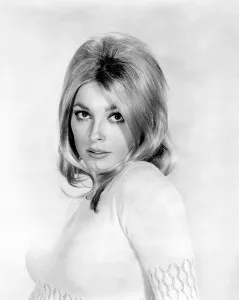 1960s Hairstyles Prints: Sharon Tate, 1966