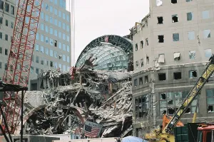 Cranes Prints: Shattered glass roof of the Winter Garden