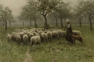 Shepherd Prints: Shepherdess with a Flock of Sheep
