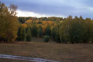 Siberia Prints: Siberian Fall landscape, Akademgorodok, Russia, by William Craft Brumfield, 1999