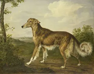 Speed Prints: Siberian Greyhound, by Jan Dasveldt, c