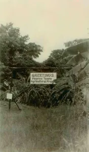 Communes Prints: Sign at the entrance of People's Temple Agricultural Project