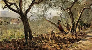 Hues Prints: Signorini Telemaco, Among the Olive Trees