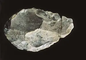 Prehistoric Prints: Silex bifacial ax. Upper Paleolithic