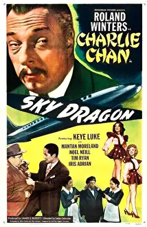 Airplane Prints: SKY DRAGON, (aka THE SKY DRAGON)