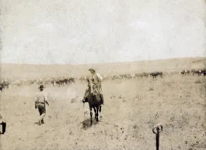 Ranch Prints: Snaking in a calf