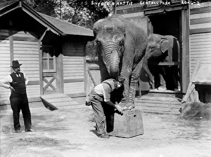 Central Park Prints: Bill Snyder (right), elephant trainer