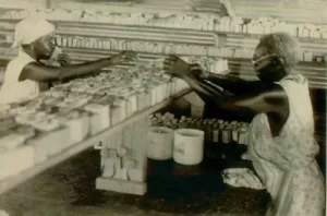 Communes Prints: Soap factory and workers at People's Temple Agricultural Project