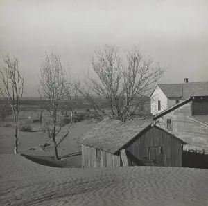 Disaster Prints: Soil blown by dust bowl winds piled up in large drifts on a Kansas farm