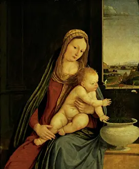 Togetherness Prints: Solario (Solari) Andrea, Madonna of the Carnations