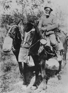 Saddles Prints: Soldier and horses wearing gas masks during World War 1