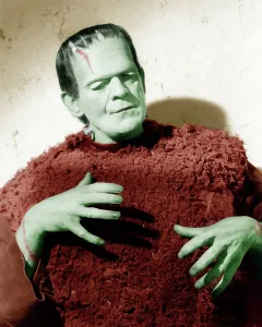 Scar Prints: SON OF FRANKENSTEIN, Boris Karloff, 1939