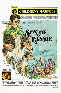 Lawford Prints: SON OF LASSIE, US poster art, left: Peter Lawford, 1945