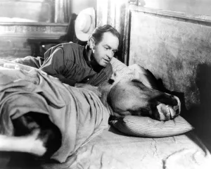 Pillow Prints: SON OF PALEFACE, Bob Hope, Trigger, 1952