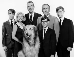 Fred Prints: MY THREE SONS, (l-r): Don Grady
