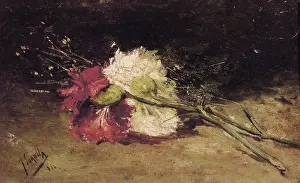 Carnation Prints: SOROLLA, Joaquin (1863-1923). Carnations