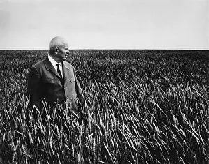 Ukrainian Prints: Soviet Premier Nikita Khrushchev stands in a sea of waving wheat in Kazakhstan. Sept. 1964
