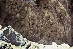 Neolithic Prints: SPAIN. ALICANTE. Marina Alta. Pla de Petracos