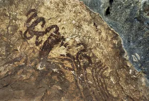Neolithic Prints: SPAIN. ALICANTE. Marina Alta. Pla de Petracos