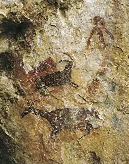 To Hunt Prints: SPAIN. El Perello. Cave of La Cabra Freixet