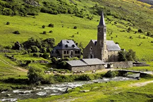 Bovine Prints: SPAIN. LLEIDA. Vall d'Aran