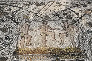 Grapes Prints: SPAIN. Merida. House of the Amphitheatre