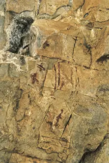 Prehistory Prints: SPAIN. Montblanc. Mas d'en Ramon d'en Bess Shelter
