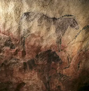 Stone Age Prints: SPAIN. Ribadesella. Tito Bustillo Cave