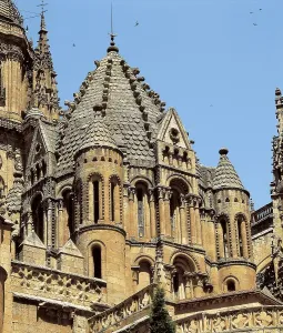 Salamanca Prints: SPAIN. Salamanca. Old Cathedral