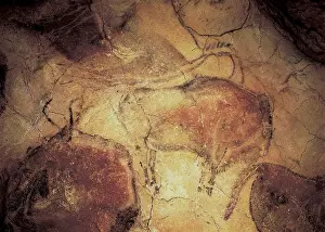 Prehistoric Prints: SPAIN. Santillana de Mar. Altamira Caves