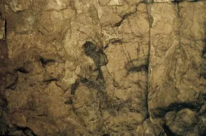 To Hunt Prints: SPAIN. Vinrom. La Saltadora Cave