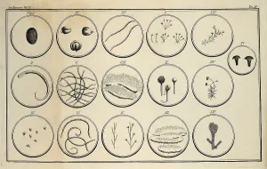 Biological Prints: SPALLANZANI, Lazzaro (1729-1799)