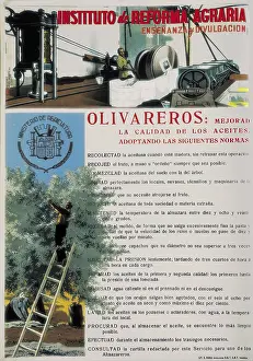 Machine Prints: Spanish Civil War (1936-1939). Poster of the Institute of the Agrarian Reform on the farming on olives