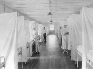 Illnesses Prints: Spanish Flu Epidemic 1918-19