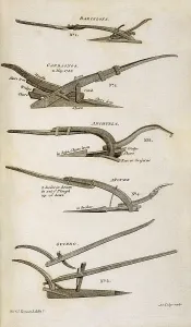 Primary Sector Prints: Spanish ploughs, picture from the Joseph Townsend's work 'A journey throug Spain in the years 1786