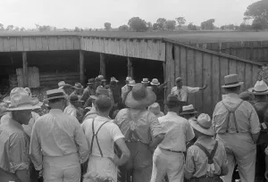 Suspenders Prints: Spectators at public farm auction, central Ohio, Aug. 1938. (BSLOC_2013_8_88)