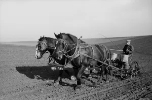 Productivity Prints: Spring corn planting in Jasper County