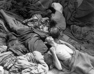 Russians Prints: Starved bodies of prisoners in a freight car at Dachau on April 30, 1945. U.S